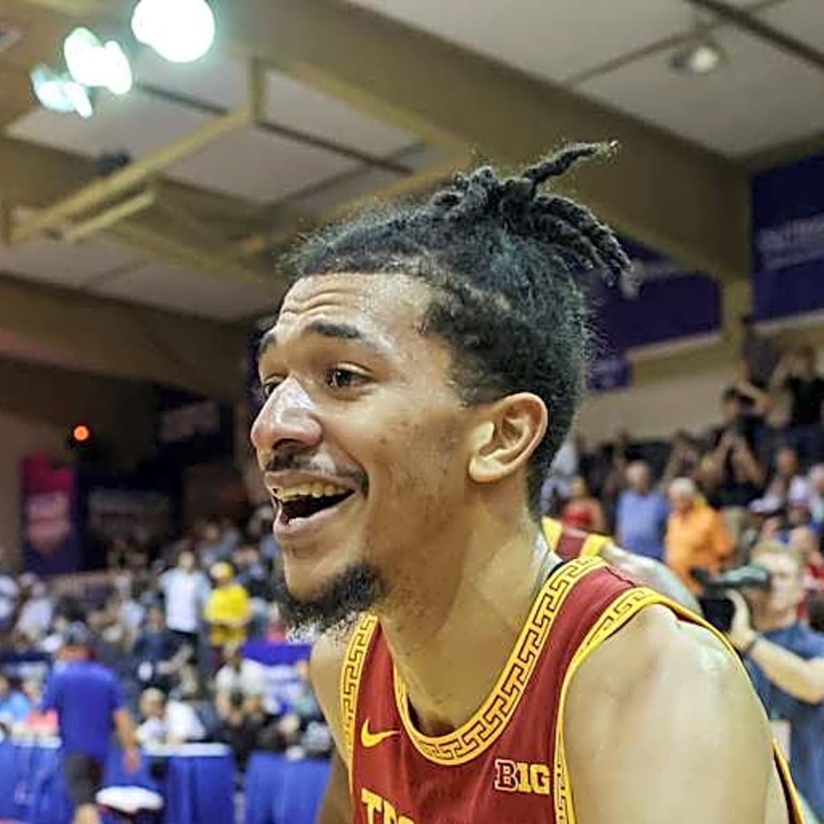 Gatti persiani regalo