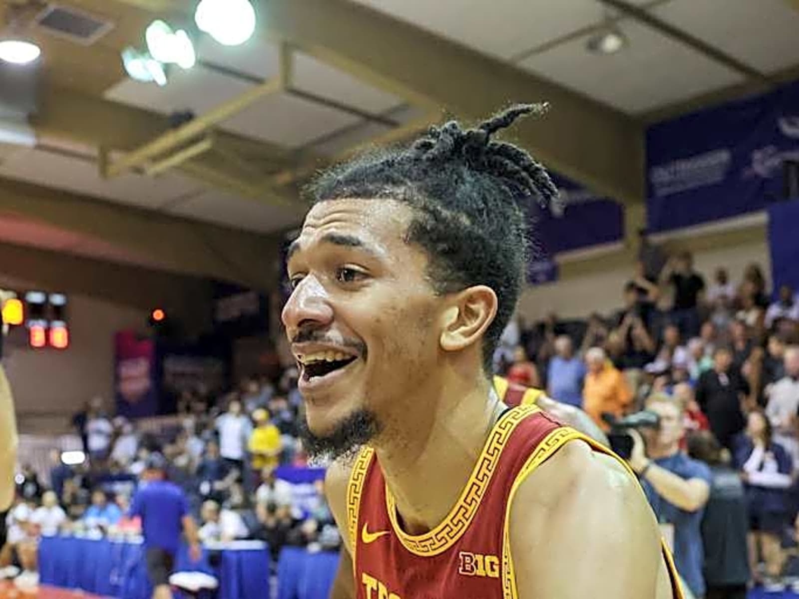 Gatti persiani regalo