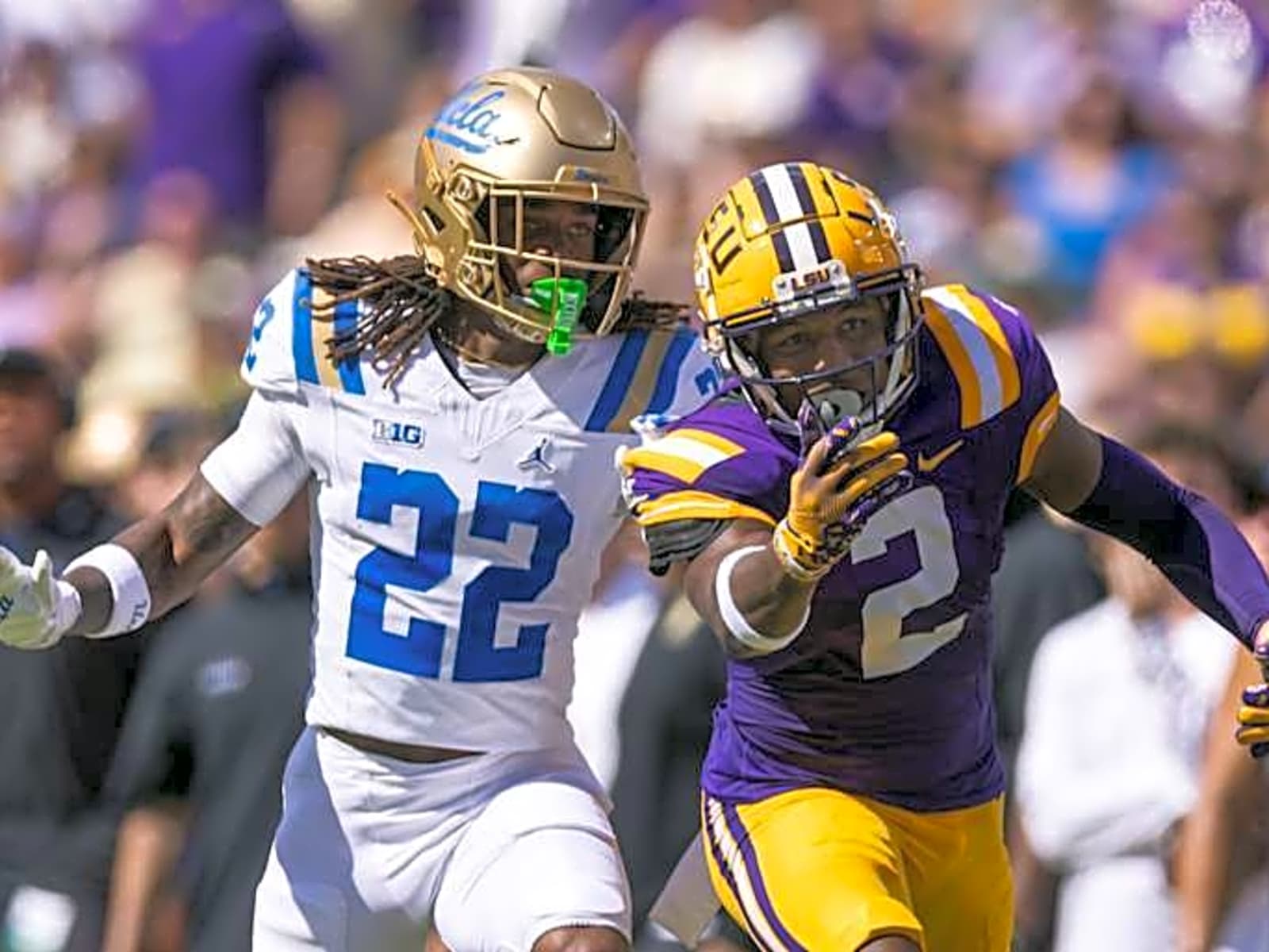 Marjan van Gessel's smooth curves reveals every secret