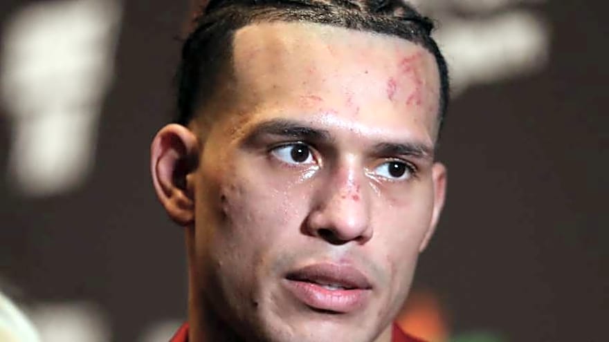 David Benavidez Shares Jake Paul vs Anthony Joshua Prediction