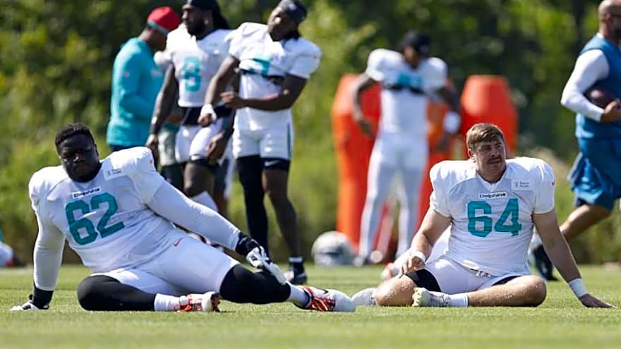 How Brunskill Went from AAF to Key Dolphins Role Player