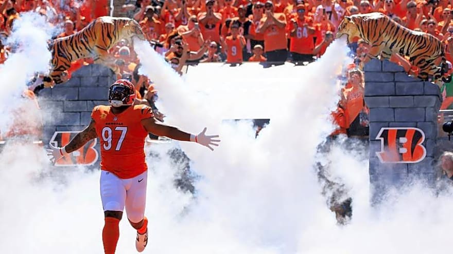 Steelers Veteran Delivers High Praise to One Bengals Unit