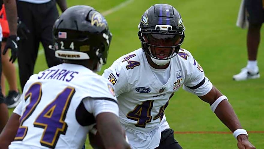 Ravens All-Pro Wants Scary Defense