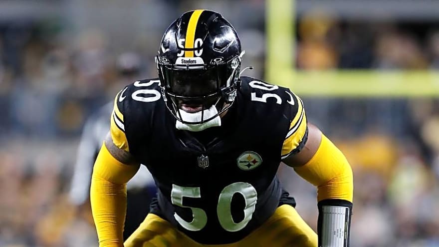 Steelers Make First Surprising Cut, Releasing Elandon Roberts