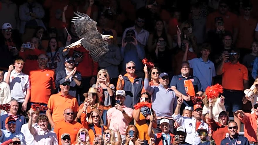 Auburn Football Opens as Heavy Underdog to Ole Miss
