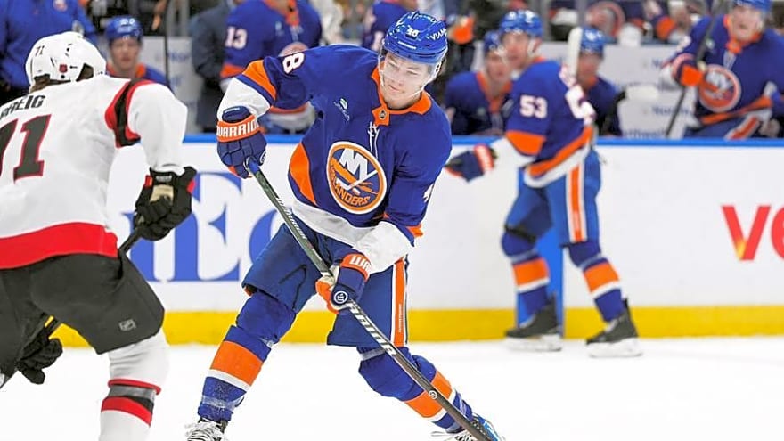 NY Islanders Wisely Predicted to Have Bright Future in Coming Years