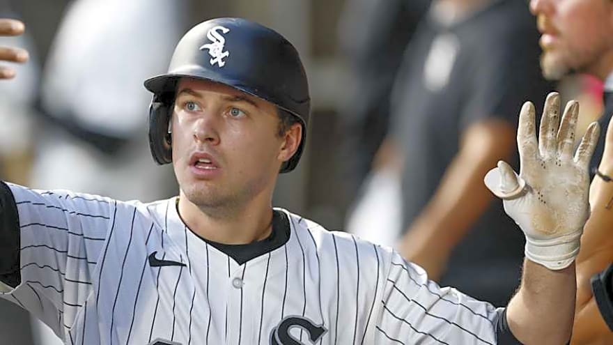 Which 5 White Sox Players Will Suit Up in the World Baseball Classic?