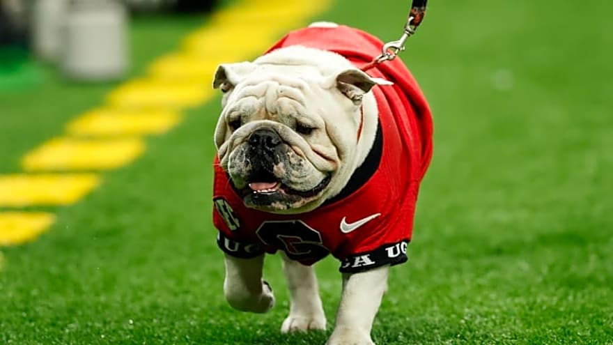 Mark Matthews Announces Commitment - Chooses Between Georgia, Miami, and Others