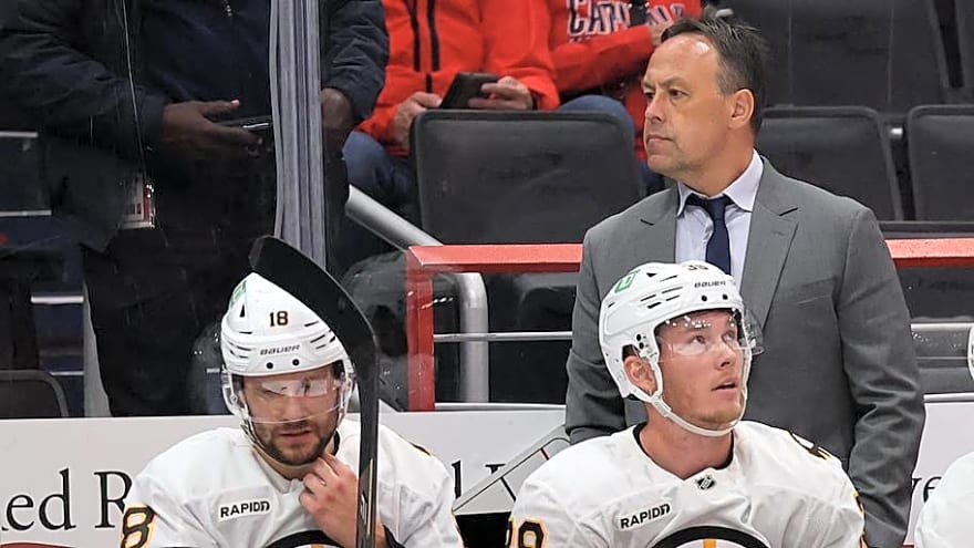 Marco Sturm, James Hagens Speak After Bruins Loss to Ottawa Senators