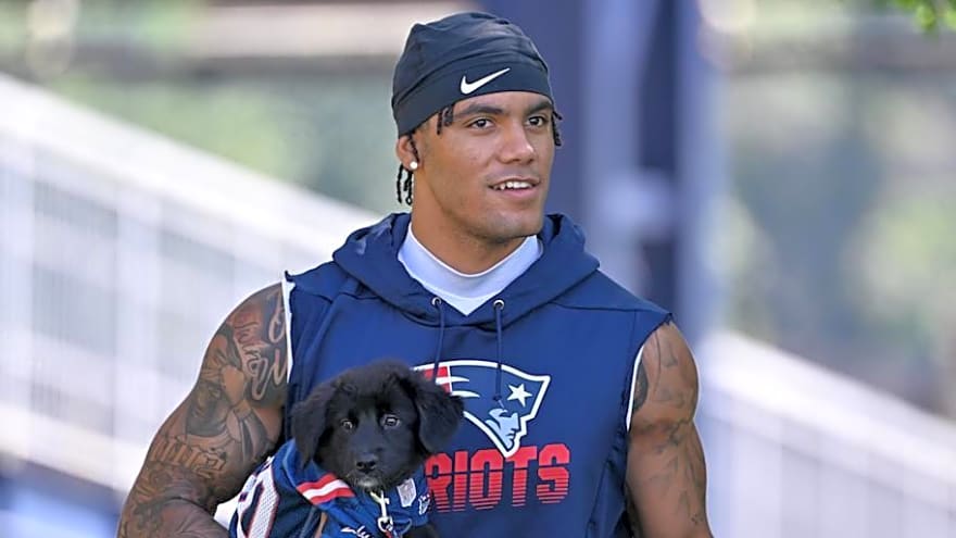 Patriots Injury News Highlights Offseason Miss