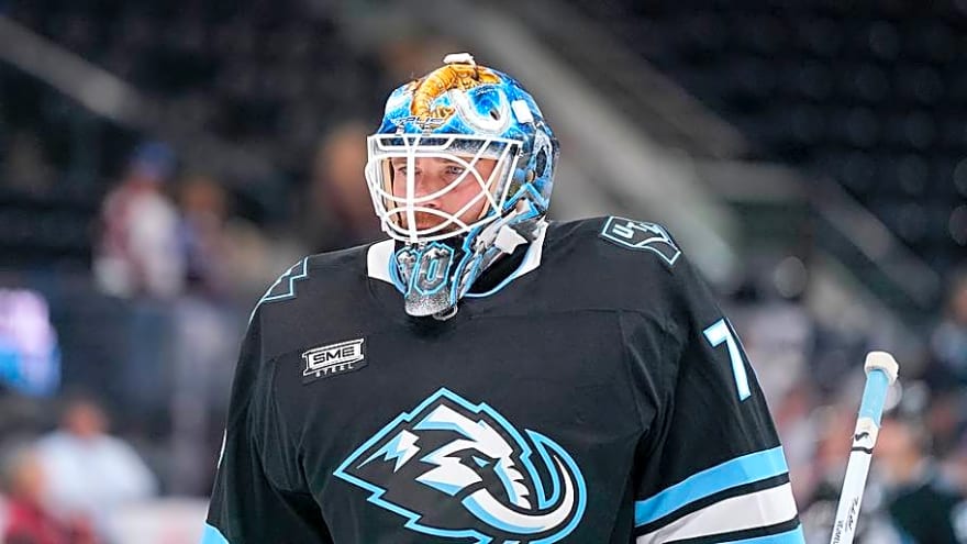 Karel Vejmelka may be putting all worries to bed after a shutout win over the Avalanche