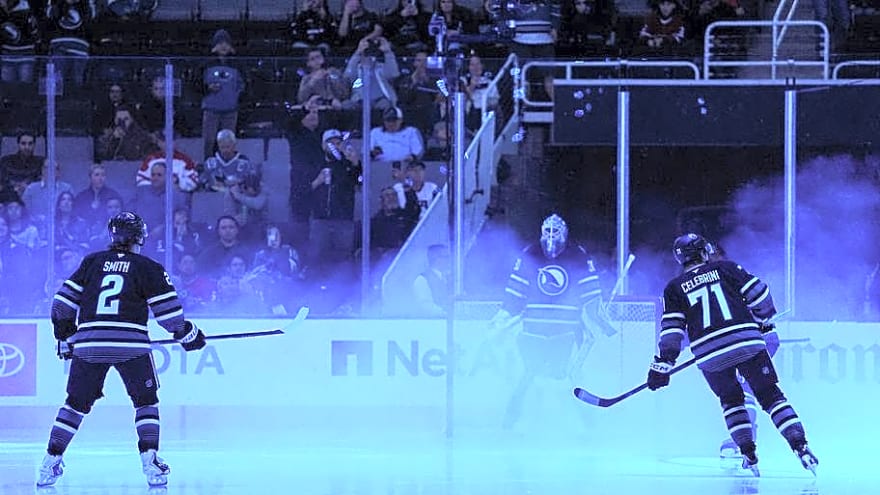 A cheat sheet for five Sharks to target in your fantasy draft
