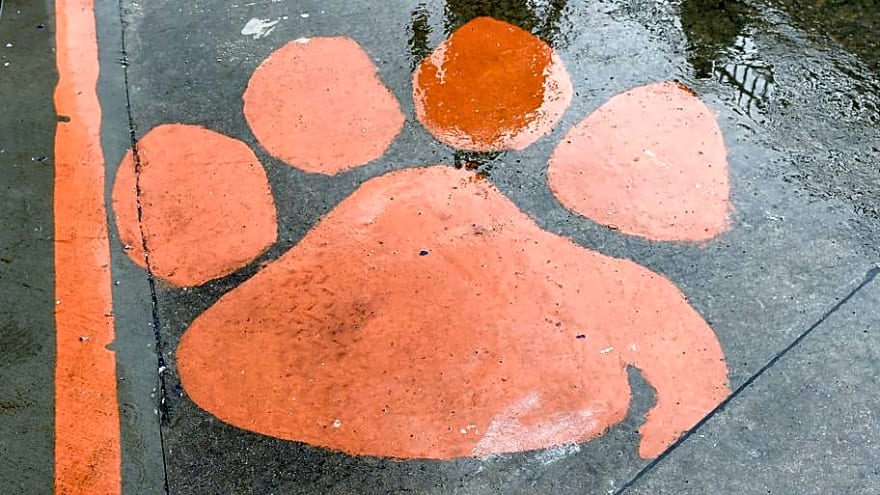 Battle-Tested Clemson Tennis Prepares for NCAA Tournament