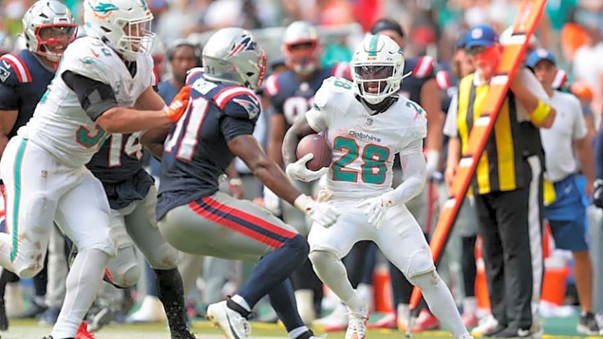 Dolphins Season Finale Has a Date and Time