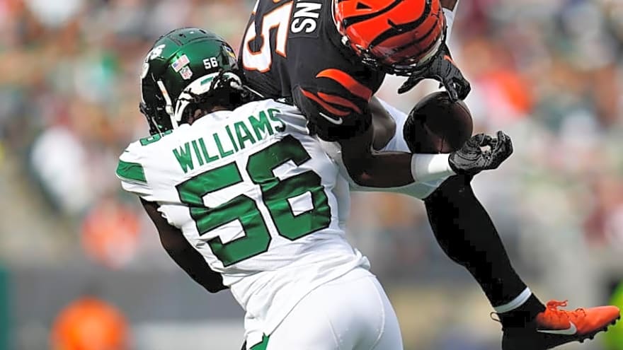 New Browns Player Quincy Williams Drops Funny Comparison to How He Plays Linebacker