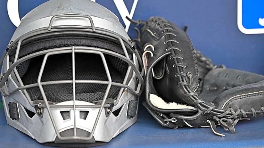 South Carolina Loses Catcher Gavin Braland to the Transfer Portal