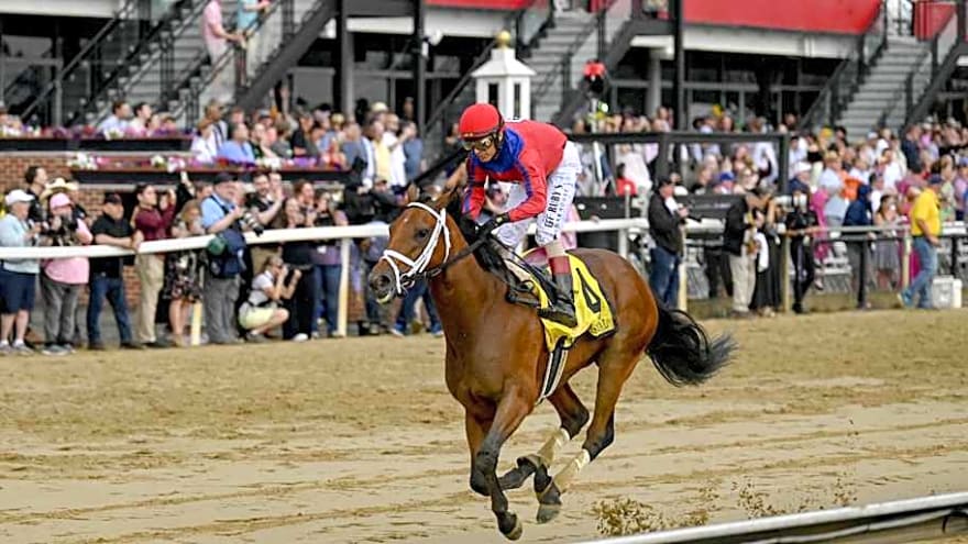 Strong field of eight set for Suburban showdown