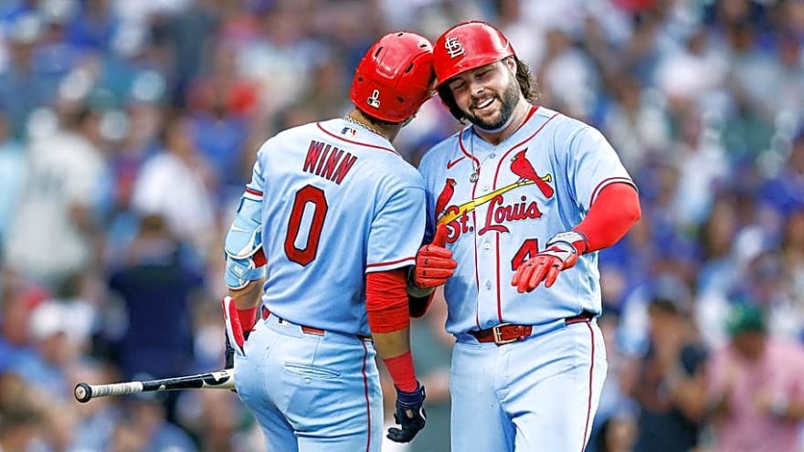 4 Cardinals Are Core Pieces of the Future and 3 Clearly Aren't