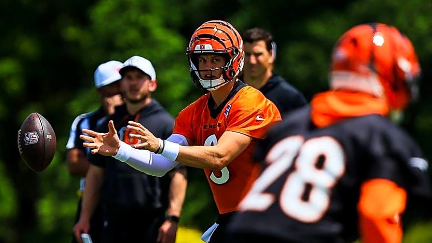 What Would a Successful Season Look Like for the 2026 Cincinnati Bengals?