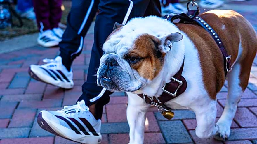 Mississippi State football National Signing Day tracker