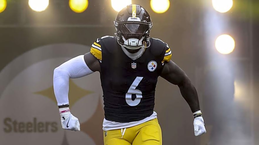 Former Steelers Player Slams Patrick Queen