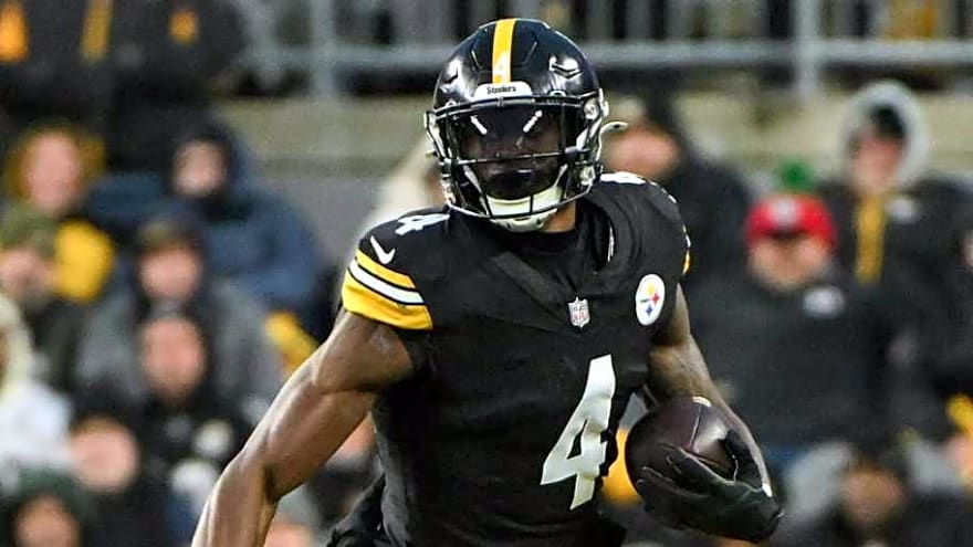 Steelers' DK Metcalf Punches Lions Fan During Game