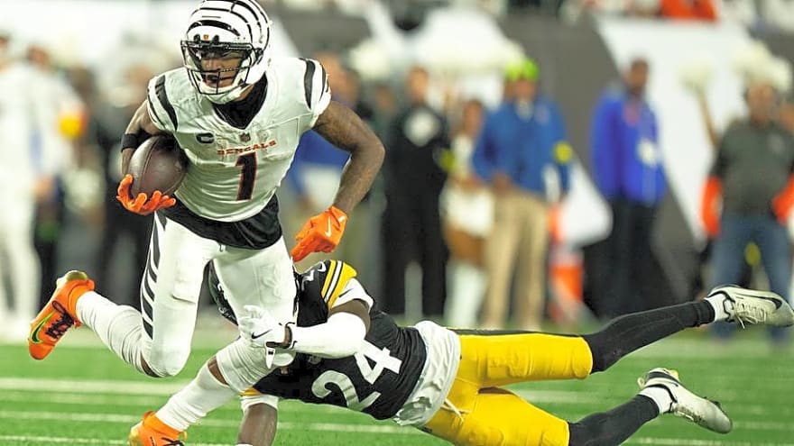 Cincinnati Bengals Announce Fan-Favorite White Bengal Game Opponent