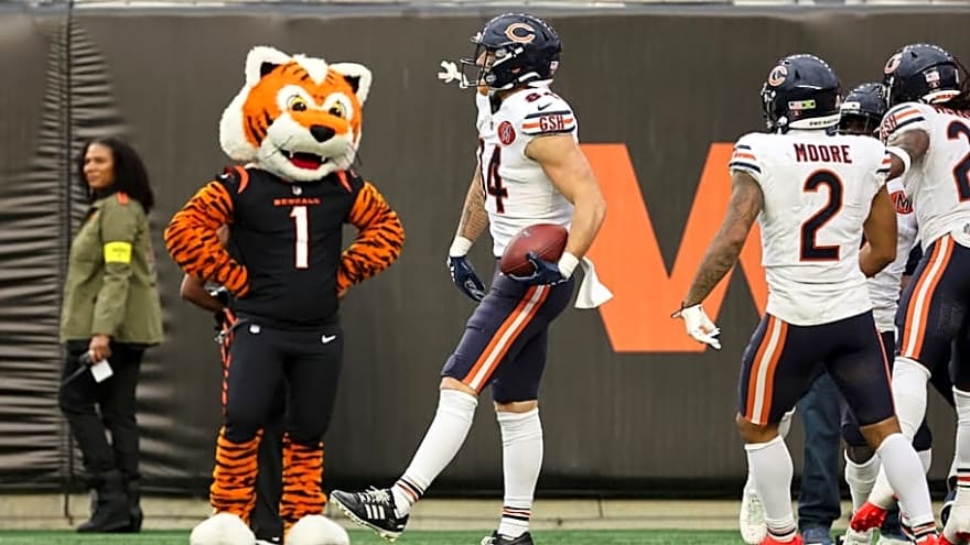 Mid-term Bears report card reflects upward trend and lurking danger