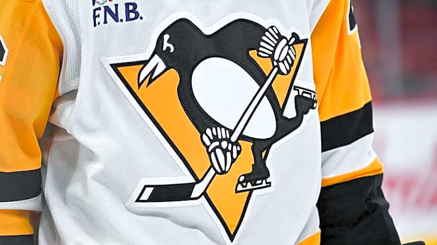 Penguins End Strange Chapter With Sale of Team