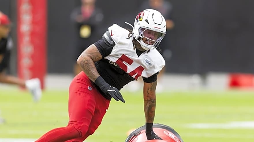 Texans Add Former Cardinals LB to Practice Squad