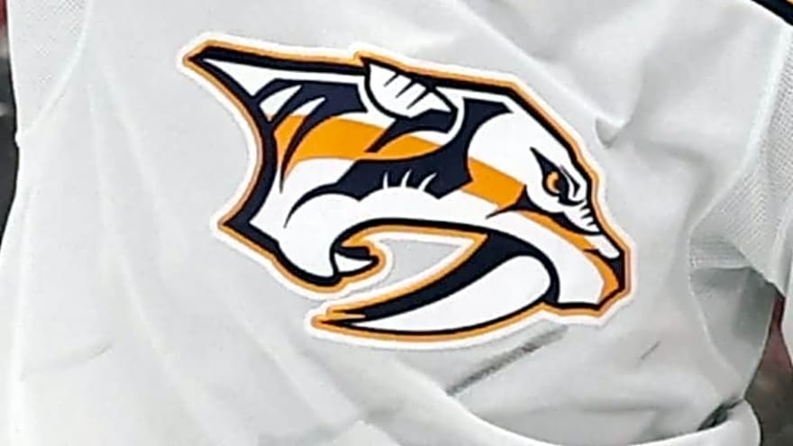 Predators Sign Swedish Defenseman After World Junior Gold