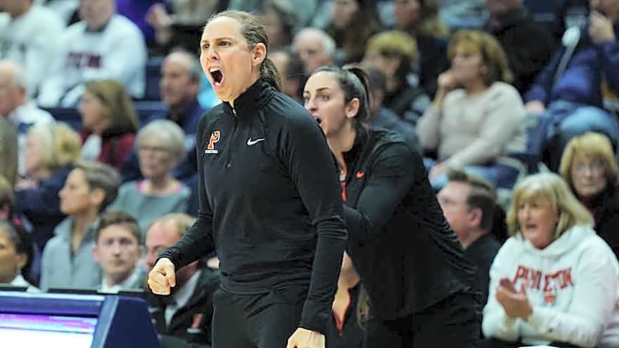 Wildcats Hire New Director of Women's Basketball Operations