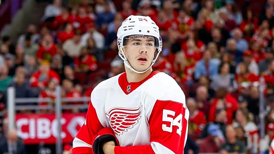 Is William Wallinder Finally Ready to Claim His Place With the Red Wings?