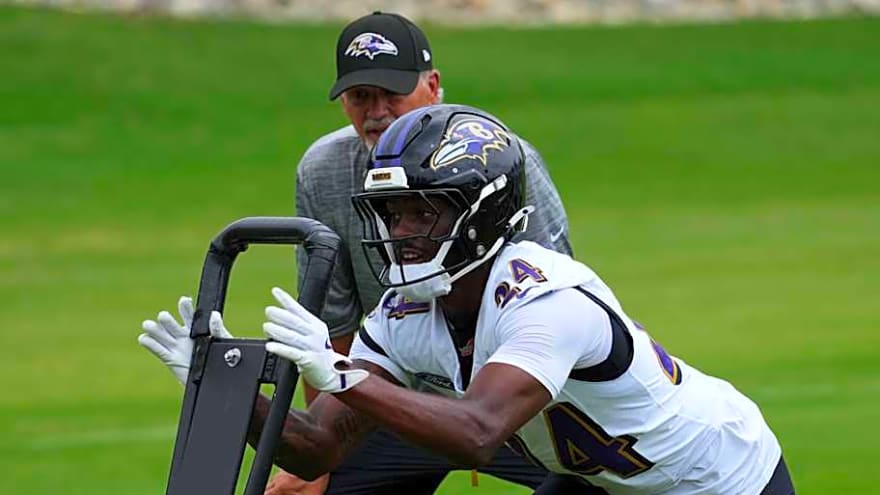 Ravens Rookie Faces Challenges vs. Lions