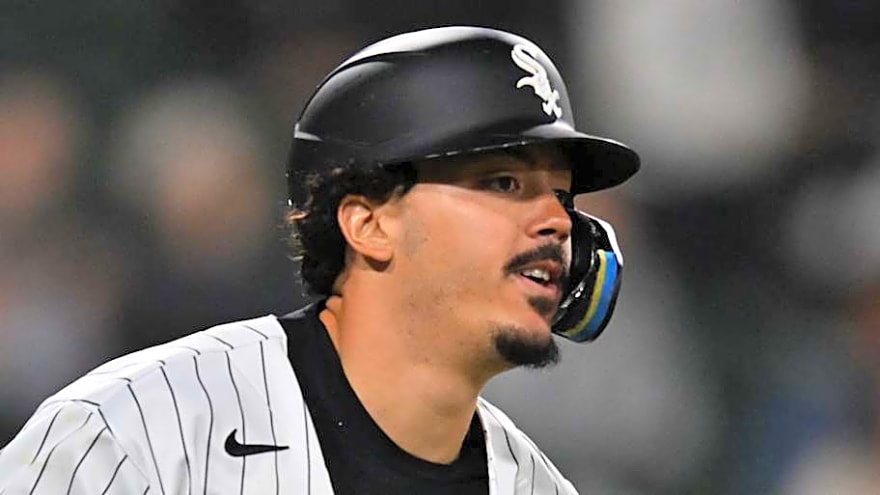 White Sox Notes: Tanner McDougal's Injury Scare, Fantastic Offensive Numbers, More