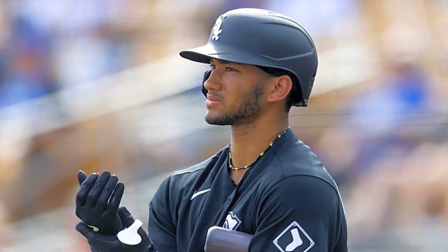 Do You Agree with MLB Pipeline's Top 30 Prospects for the White Sox?