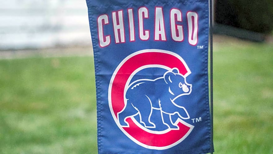 Cubs Star Reveals He'll Play In Highly Anticipated World Baseball Classic