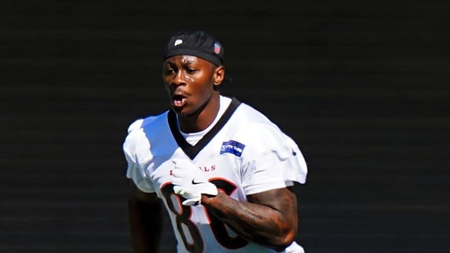 Bengals Rookie Continues to Impress, Earns HIGH Praise From Dan Pitcher