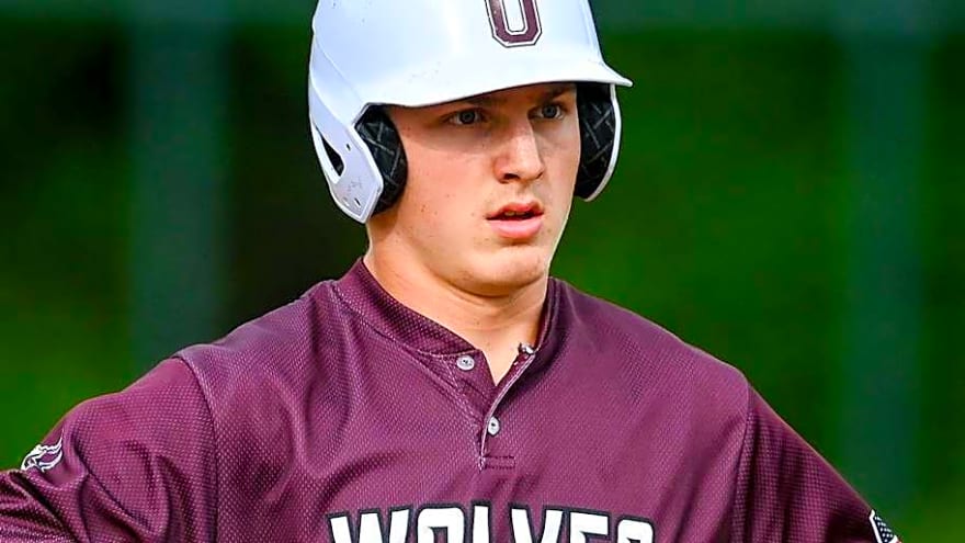 Chicago White Sox Prospect Named MVP Of Carolina League