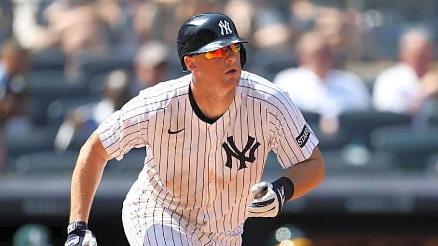 DJ LeMehieu Did Not Take Yankees Benching Well