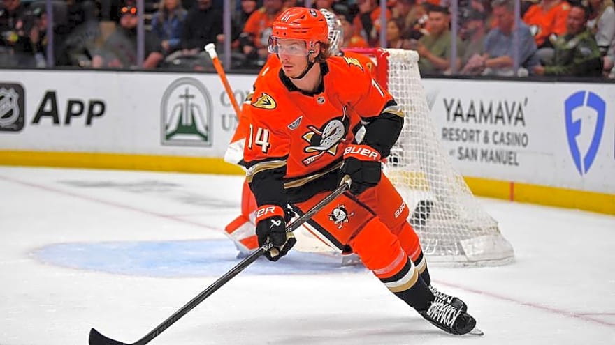 Snapshot look at the Anaheim Ducks heading into training camp and who could make an impression in the preseason
