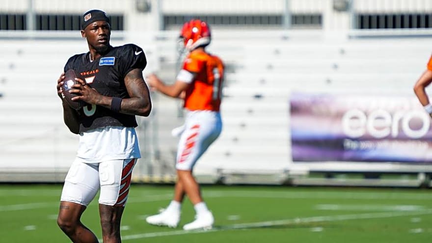 'It Takes A Toll, I Feel It' - Tee Higgins Calls For Big Change to Bengals' Stadium