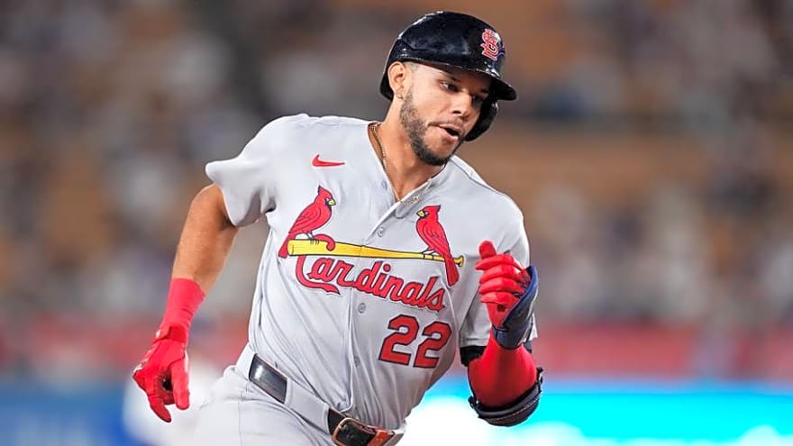Cardinals' Joshua Báez Nearly Matched Vladimir Guerrero Jr.'s HR Total in 17 Games