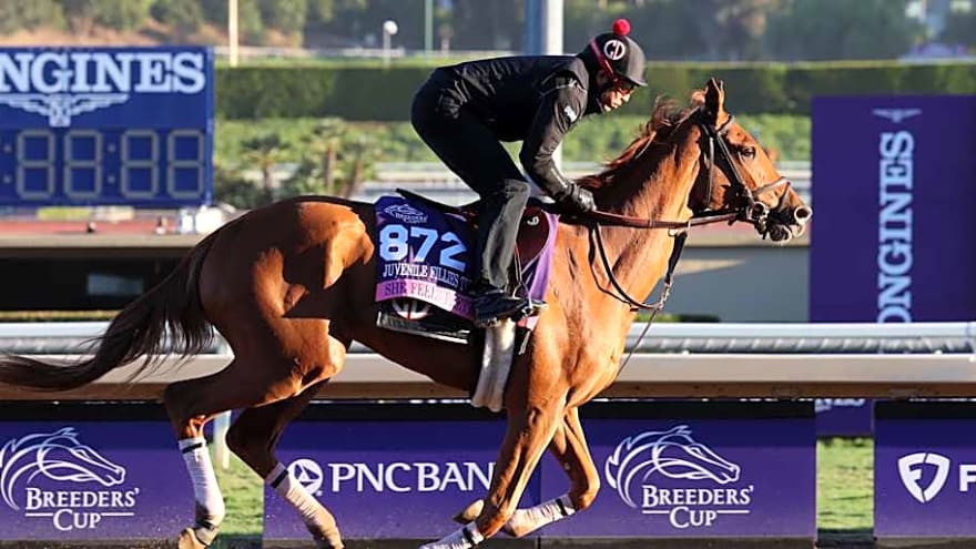 She Feels Pretty eyes fifth Grade 1 victory in Diana Stakes at Saratoga