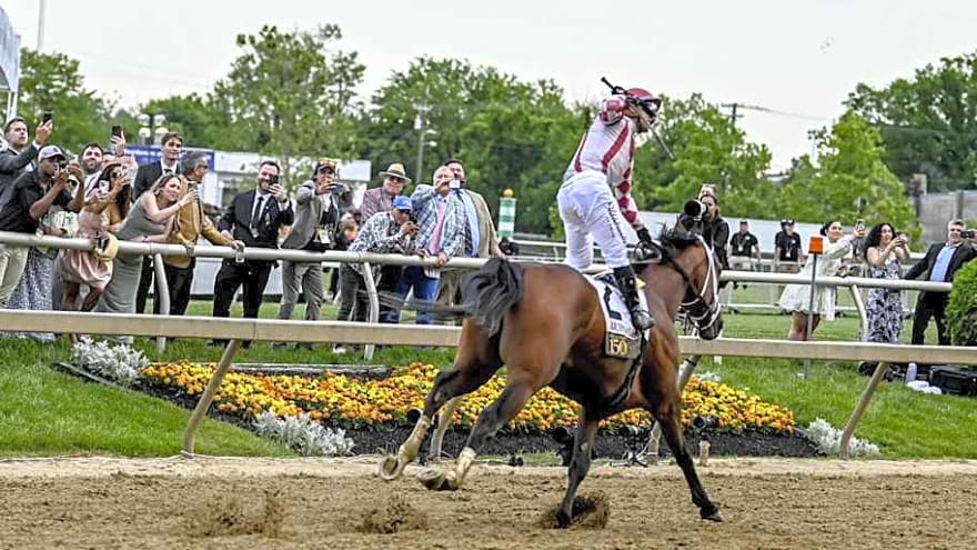 Preakness Winner Journalism to Return in Haskell at Monmouth Park