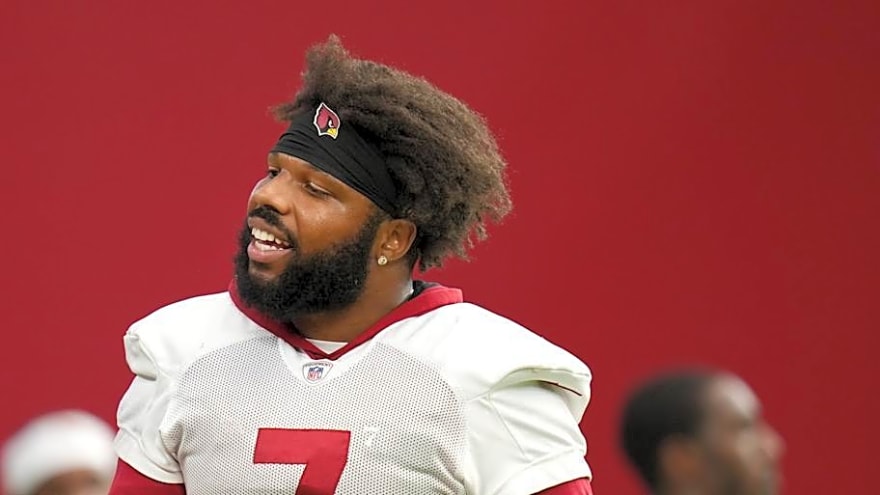 Titans Urged to Sign Cardinals Veteran