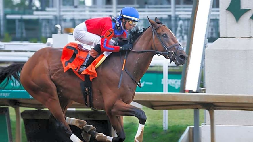Phileas Fogg holds on by a whisker over Antiquarian to take Suburban