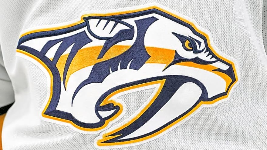 NY Rangers Defenseman Claimed by Nashville Predators off Waivers