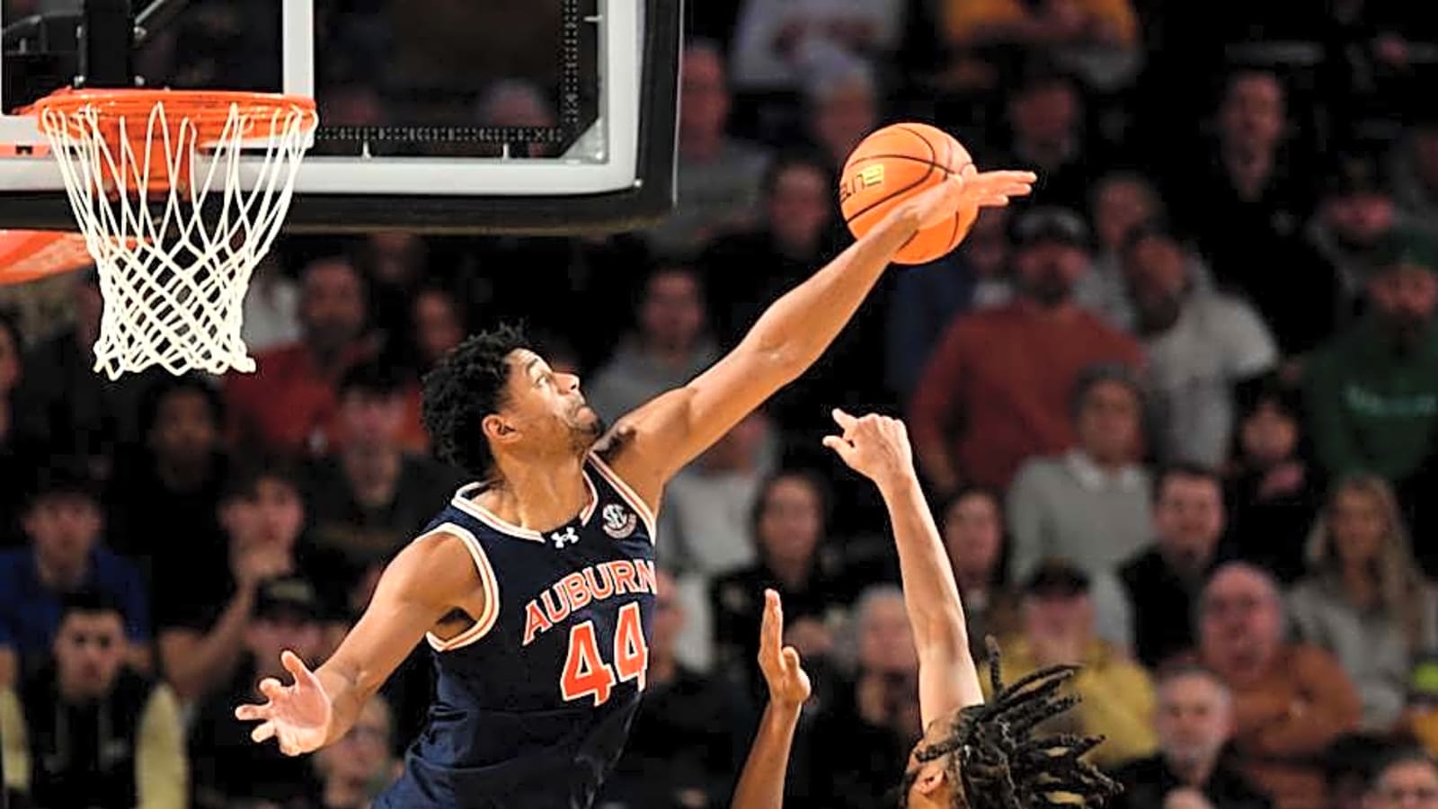  Kings Sign 6-Foot-11 Center After 2025 NBA Draft