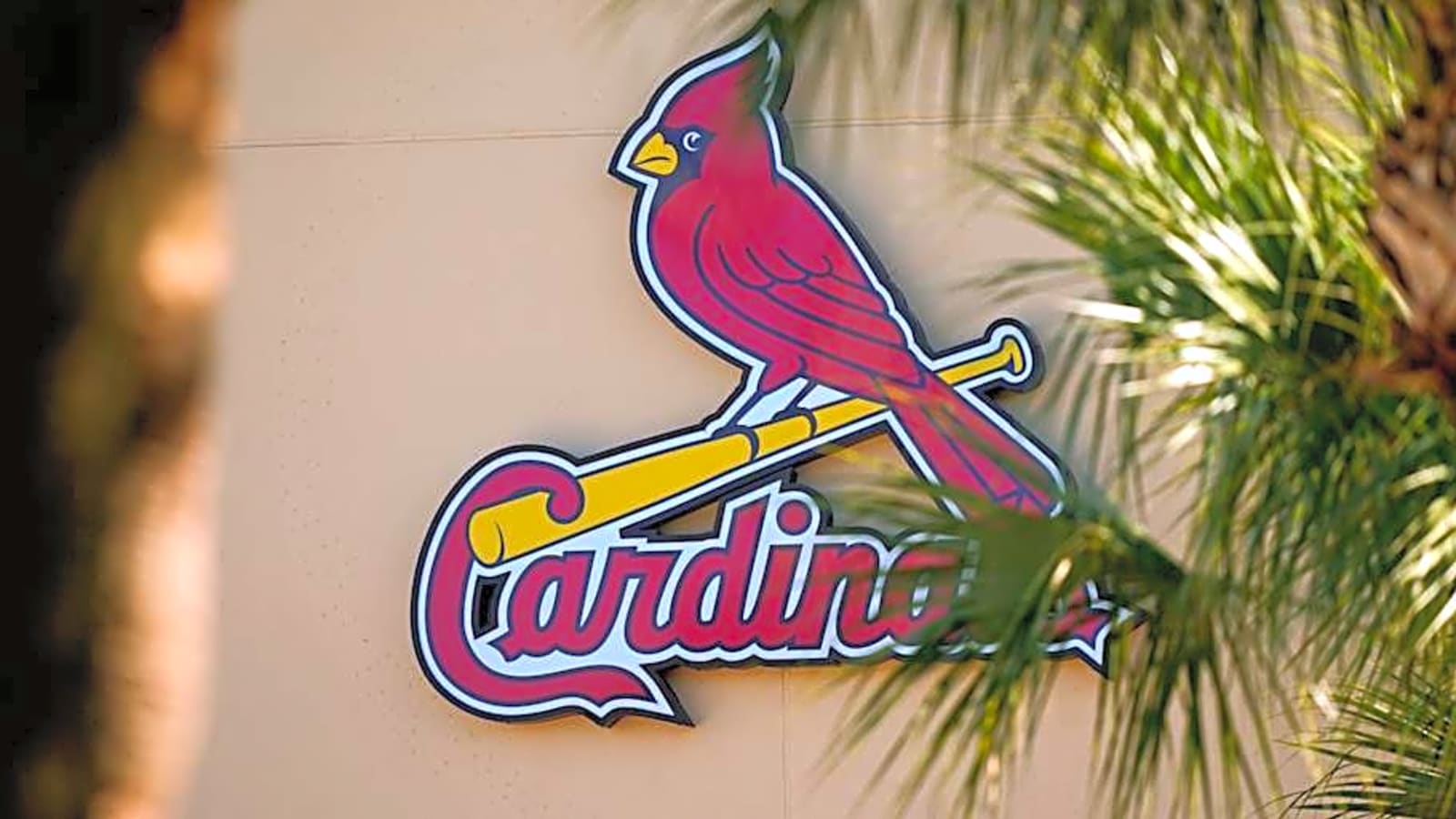 Cardinals Found Perfect Building Block Of The Future